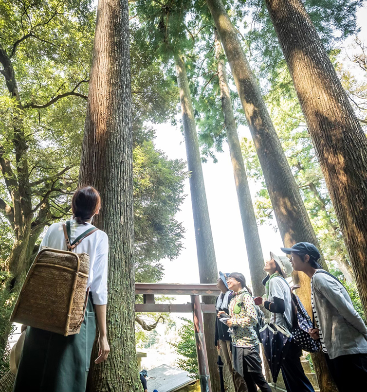 和ハーブについて